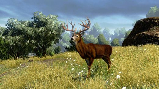 Cabela's Outdoor Adventures box art for Playstation 3
